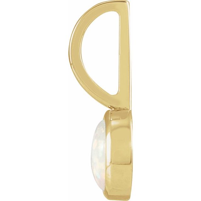 Cabochon Charm/Pendant