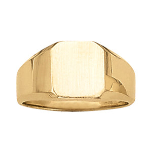 Mens Fashion Signet Ring in Multiple Metals