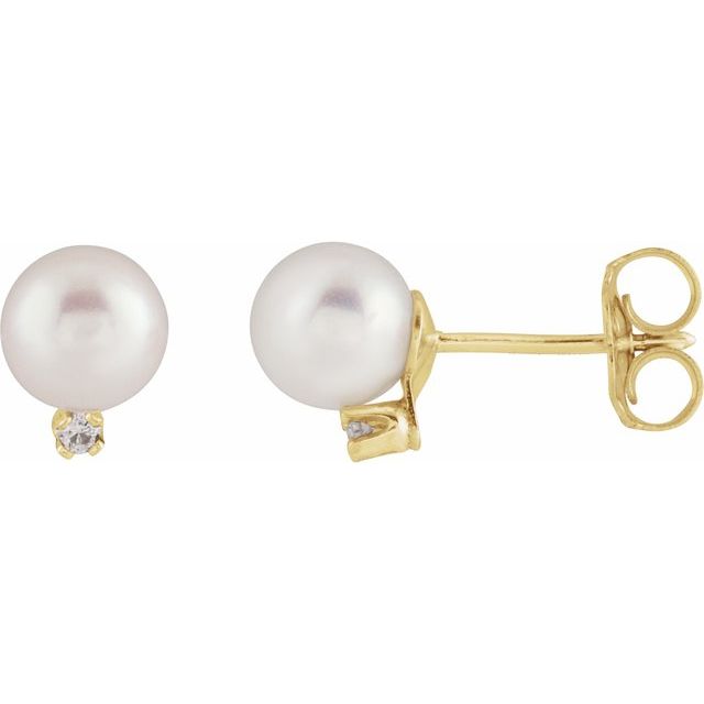 Accented Pearl Earrings